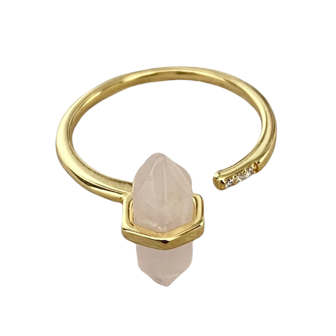 Evolution Ring