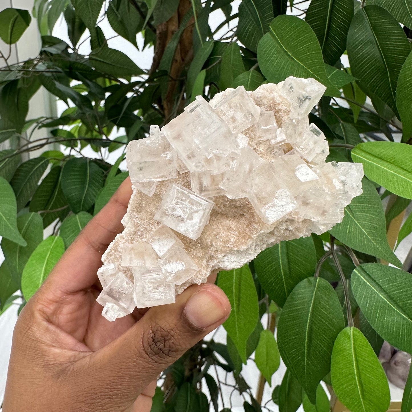 Pink Halite Cluster #1