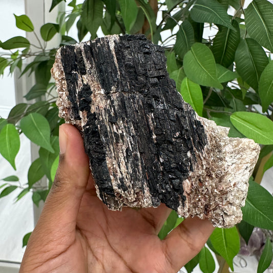 Black Tourmaline in Mica