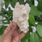 Pink Halite Cluster #1