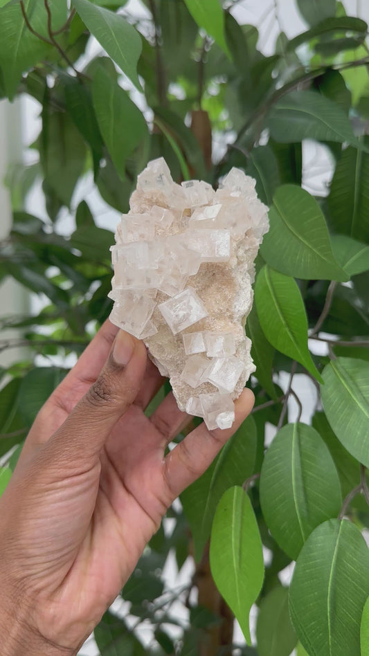 Pink Halite Cluster #1