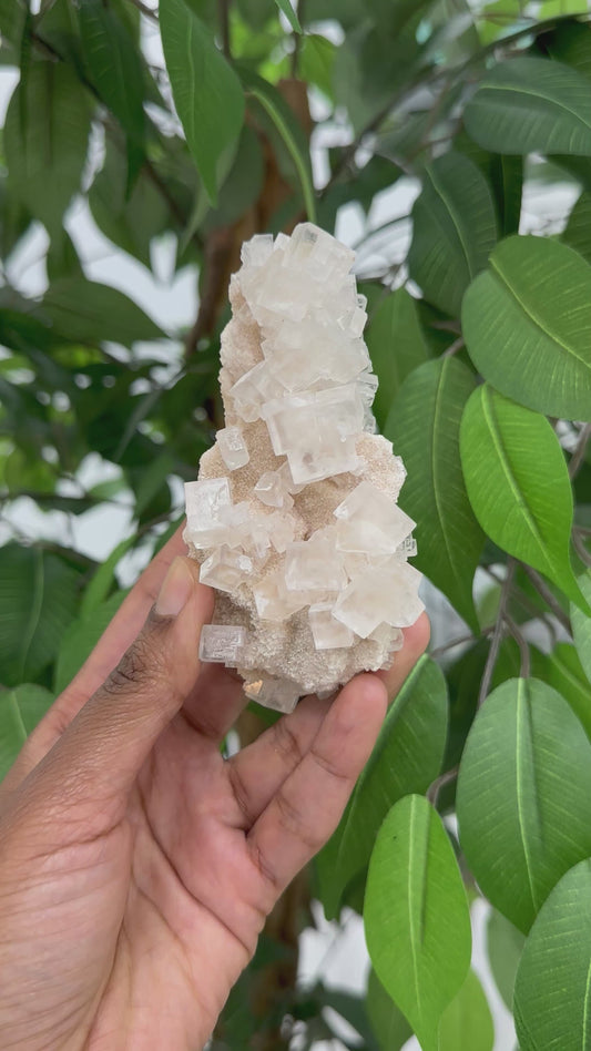 Pink Halite Cluster #2