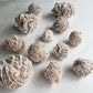 Desert Rose Crystal